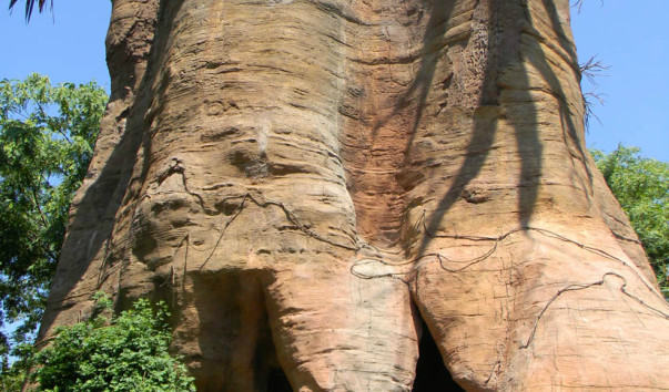 Bioparc (12)