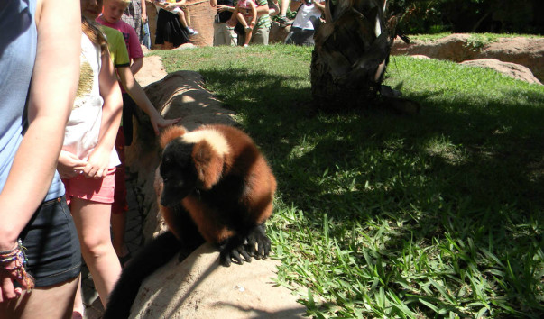 Bioparc (6)