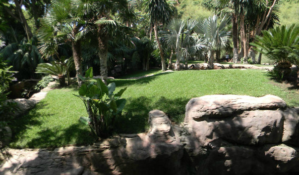 Bioparc (1)