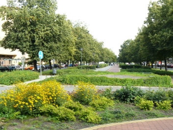 photo 891609