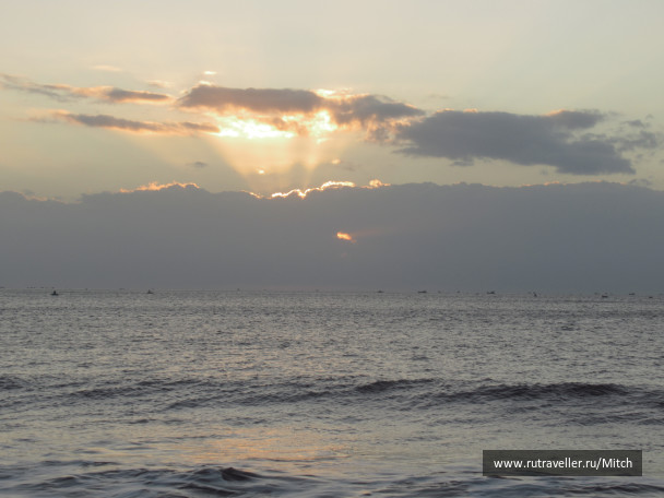 photo 1731466