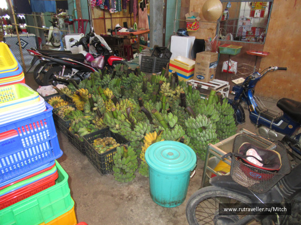 photo 1731495