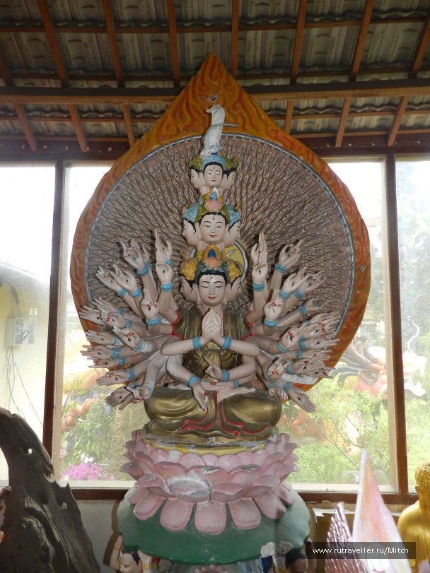 photo 1731720