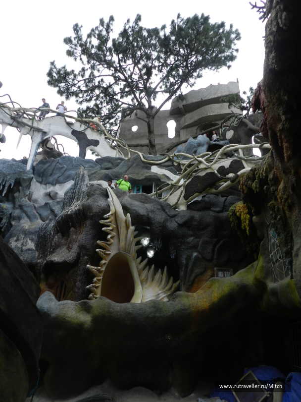 photo 1731731
