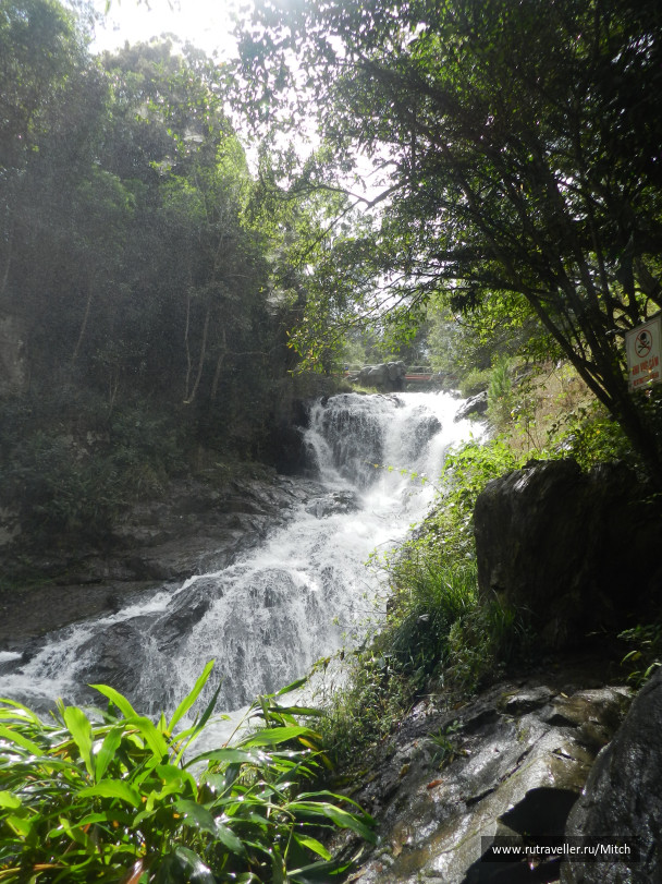 photo 1731739