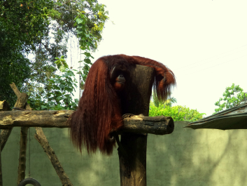 photo 680456