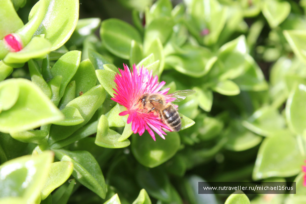 photo 234274