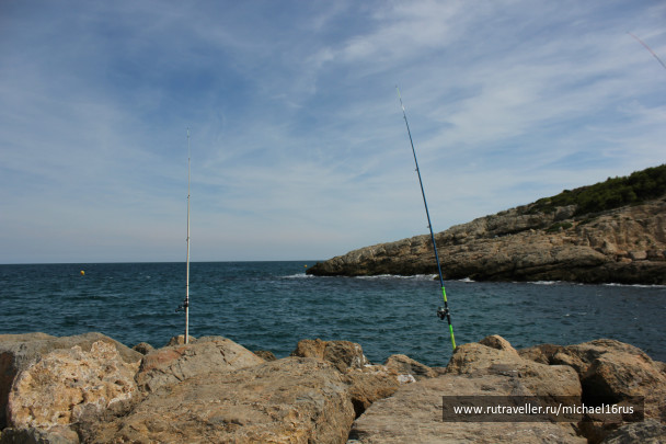 photo 234294