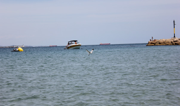 IMG_6786