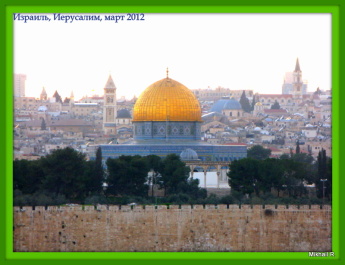photo 74757