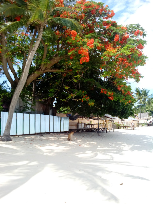 photo 1944652