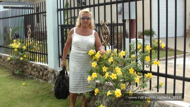photo 975001