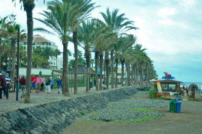 photo 335421