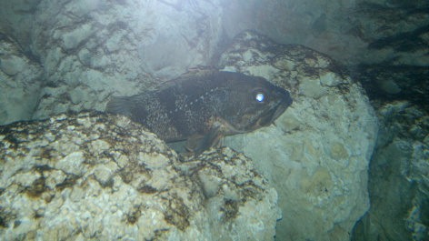 photo 281744