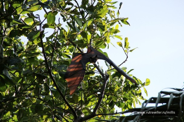 photo 322927
