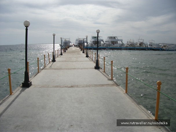 photo 792002