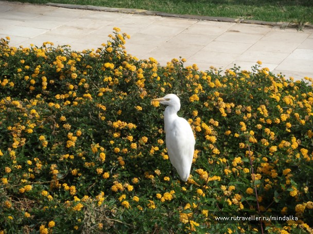photo 792004