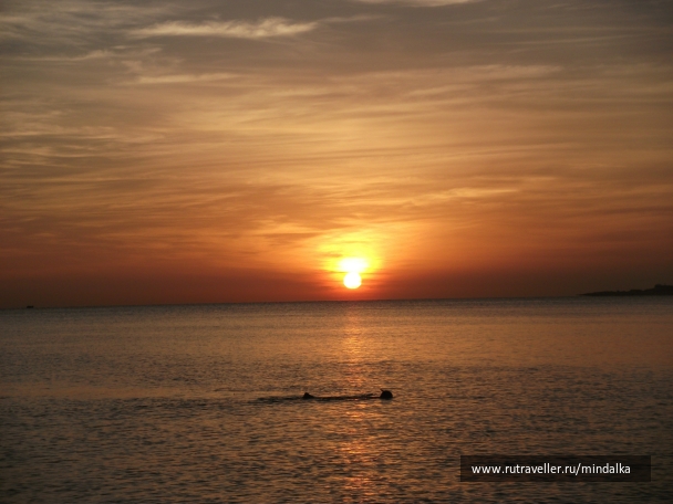 photo 796582
