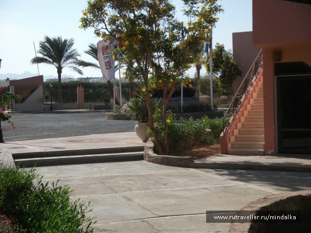 photo 797973