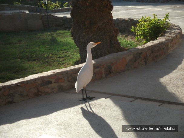 photo 797977