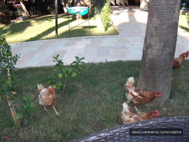 photo 1455182