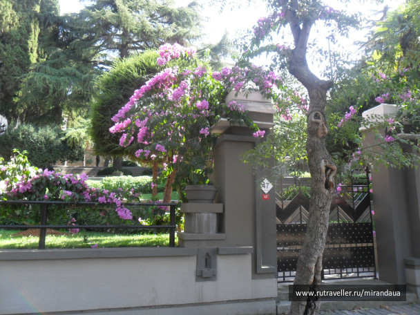 photo 138235