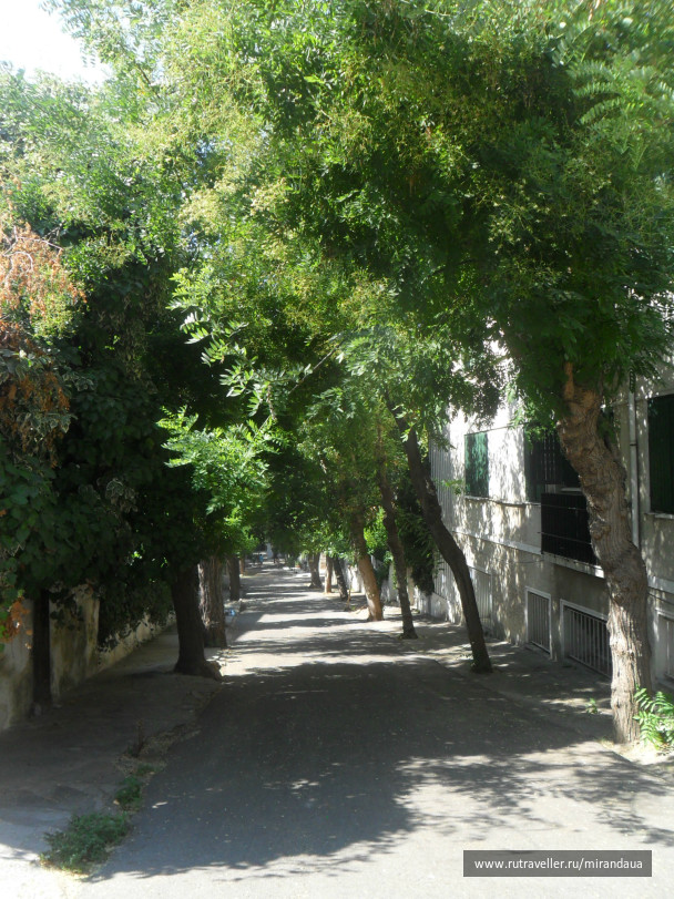 photo 138245