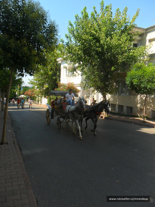 photo 138248