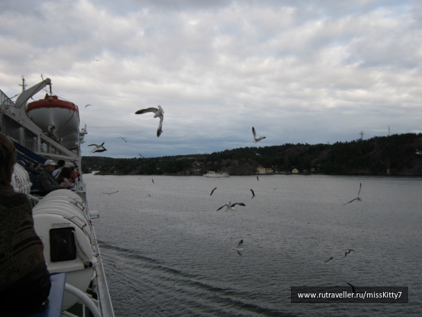photo 256609
