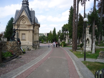 photo 217331