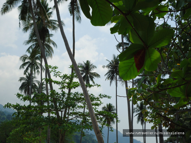 photo 300183