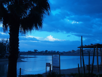 photo 685916