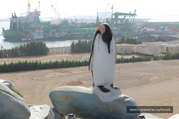 photo 467741