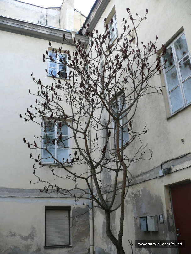 photo 648399