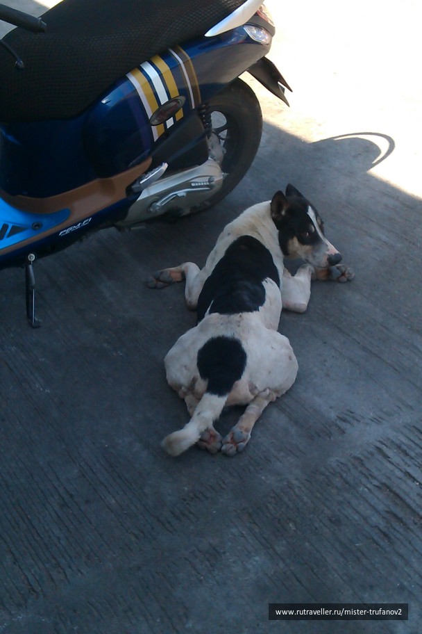 photo 1434668
