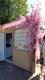 photo 2155542