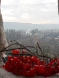 photo 586350