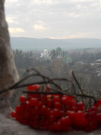 photo 586351