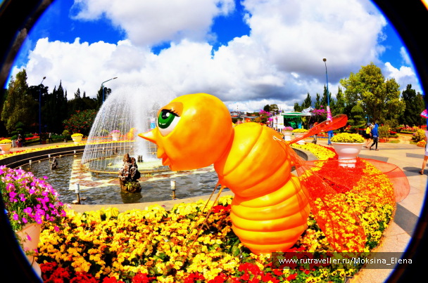 photo 1375882