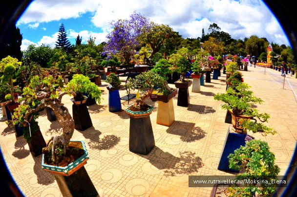 photo 1378402