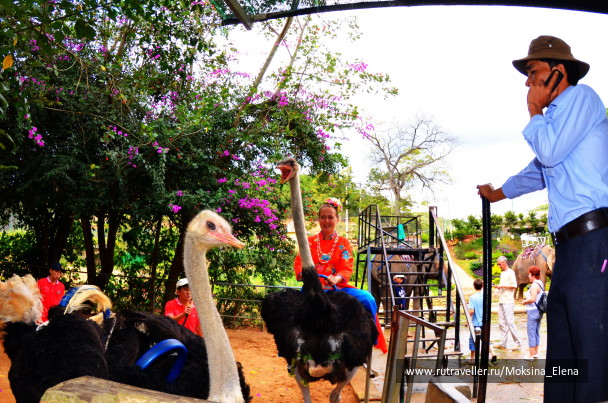 photo 1379353