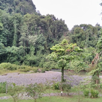 Borneo Rainforest Lodge Danum Valley 