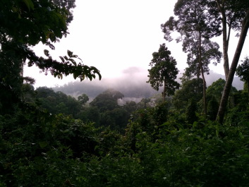photo 1395221
