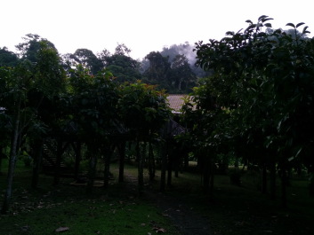 photo 1395222