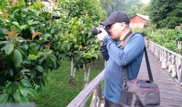 Borneo-Rainforest-Lodge2016  (110)