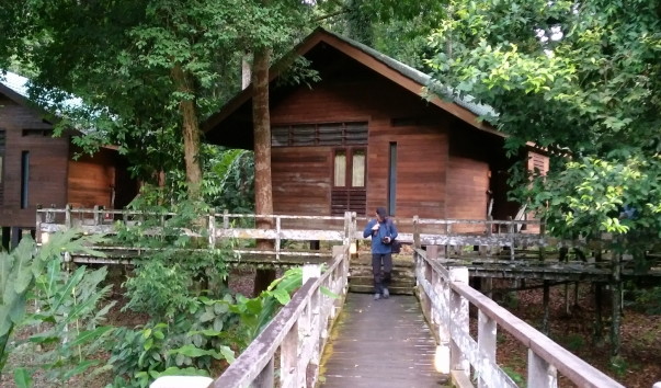 Borneo-Rainforest-Lodge2016  (107)
