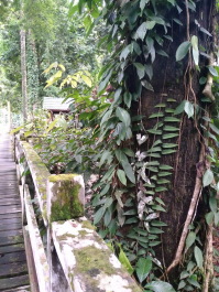 photo 1395232