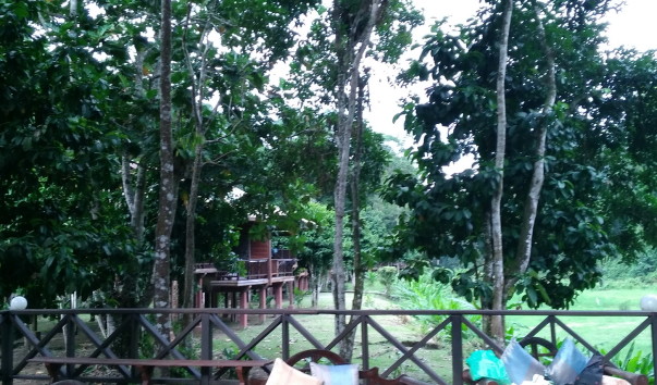 Borneo-Rainforest-Lodge2016  (99)