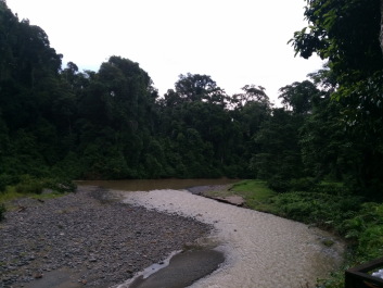 photo 1395236