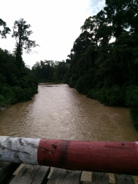 photo 1395237